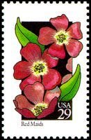 Wildflowers:Red Maid