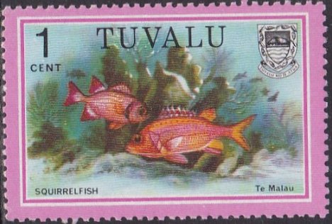 Squirrelfish