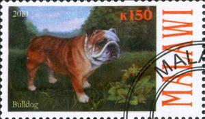 Stamp, Bulldog, Cinderellas,  , Animals (Fauna), Dogs