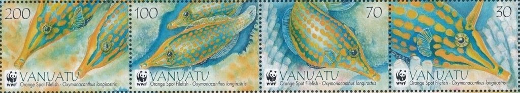 Orange spotted filefish (Oxymonacanthus longirostris)