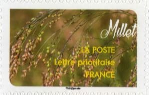 Millet