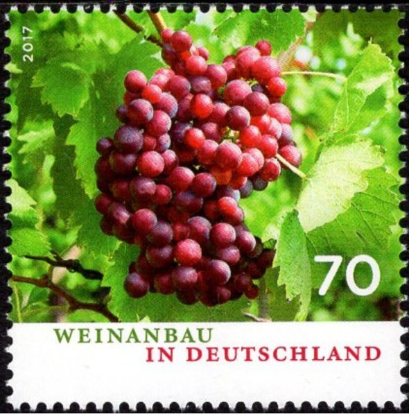 Viniculture in Germany
