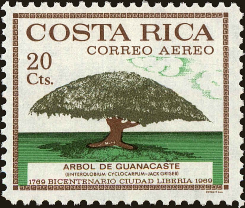 Tree of Guanacaste