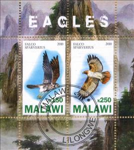 Mini Sheet, Eagles, Cinderellas,  , Animals (Fauna), Birds, Falcons