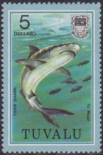 Tiger Shark