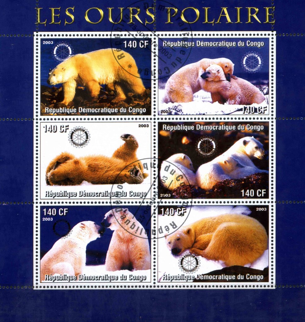 Les Ours Polaire