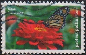 Protect Pollinators:Butterfly on Flower