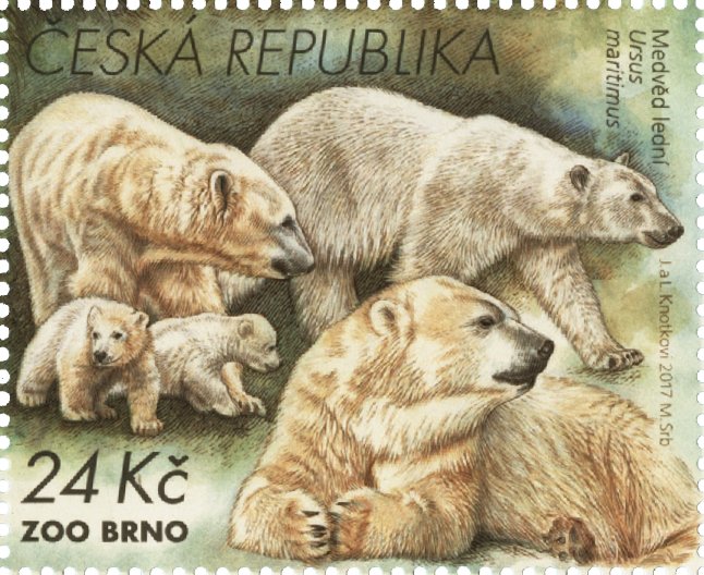 Polar bears