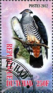 Stamp, Aviceda Subcristat, Cinderellas,  , Animals (Fauna), Birds, Falcons
