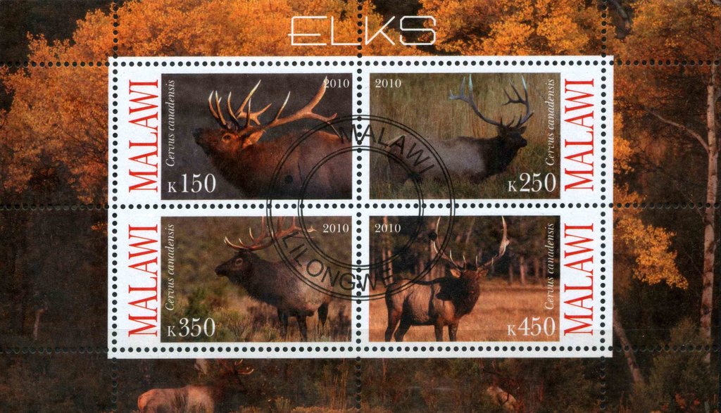 Elks
