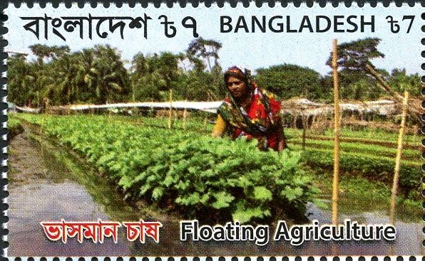 Floating Agriculture