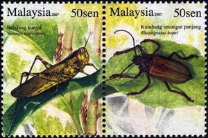 Se-tenant, Javanese Grasshopper (Valanga nigricornis), Longhorn Beetle , Malaysia,  , Animals (Fauna), Beetles, Insects