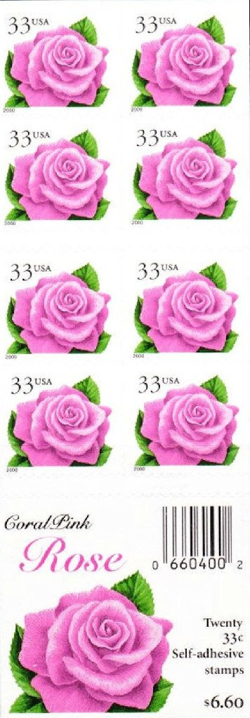 Coral Pink Rose