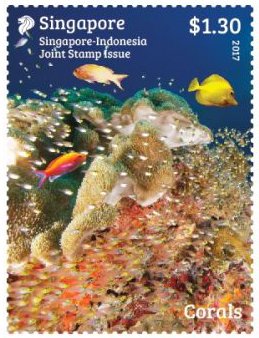 Corals - Joint Issue with Indonesia
