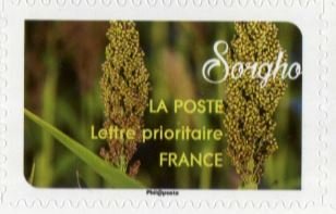 Stamp, Sorgho, France,  , Cereals, Plants (Flora)