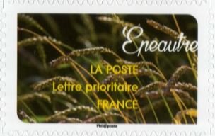 Epeautre