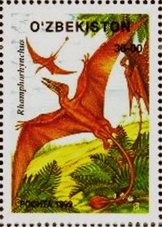 Rhamphorhynchus