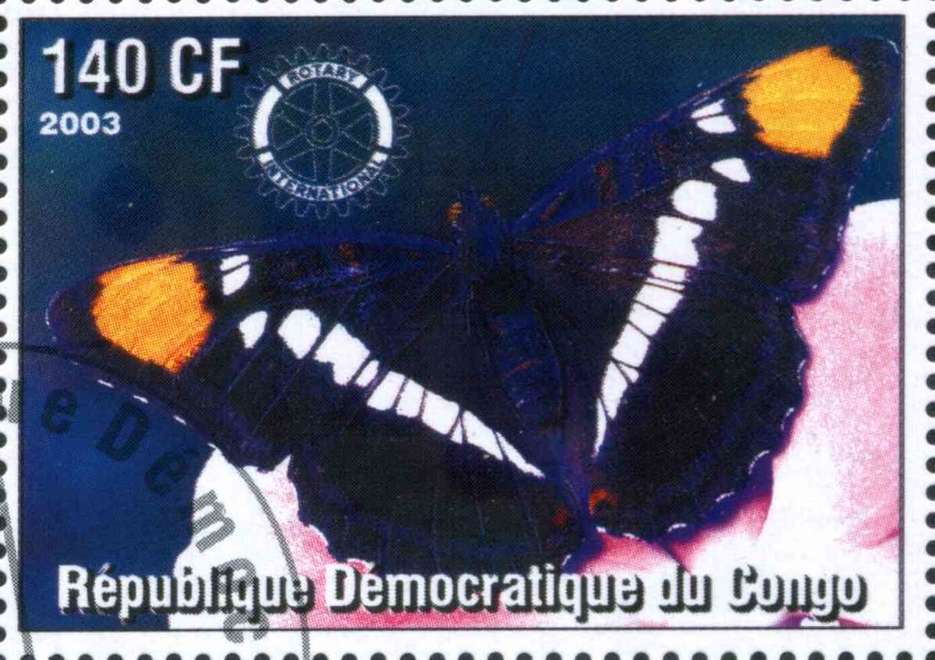 Les Papillons