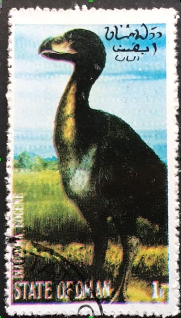 Giatruna (Gastornis Giantbird), Eocene
