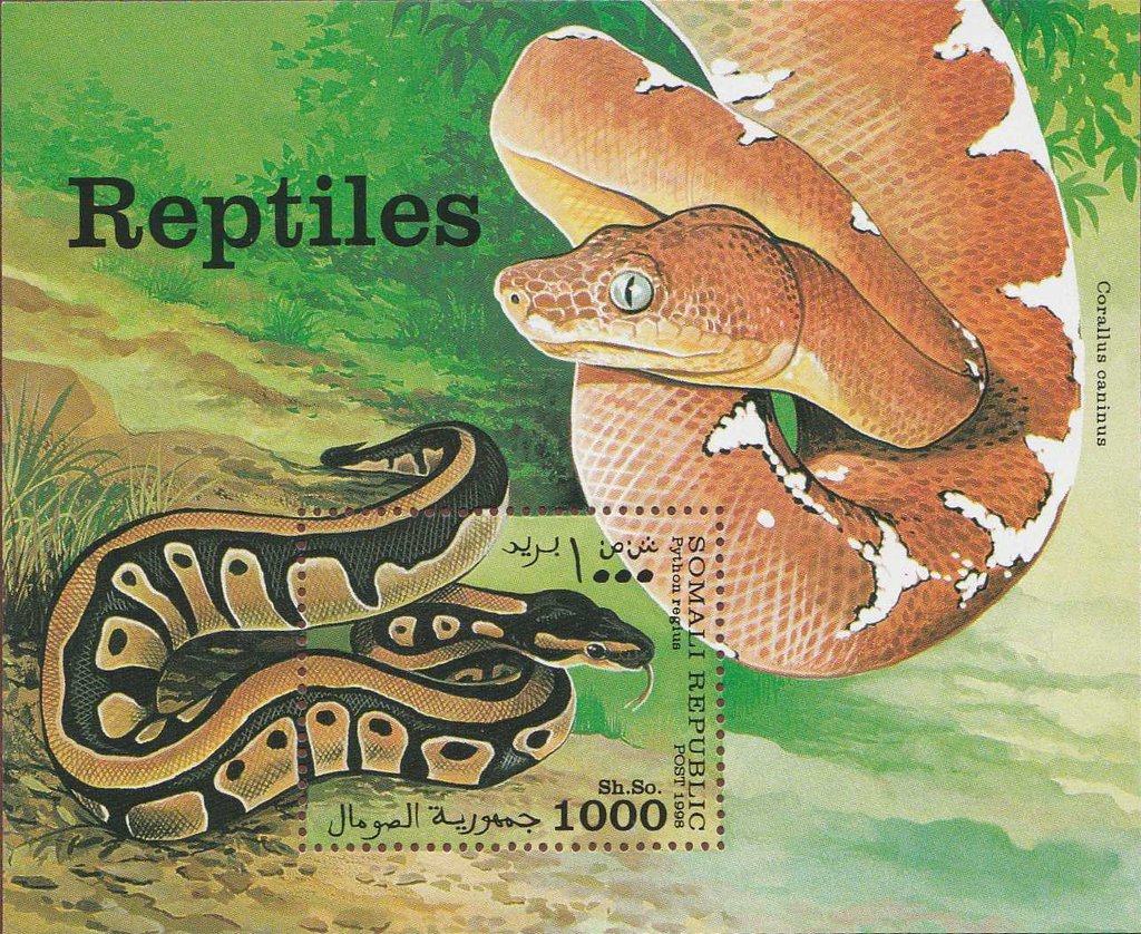Ball python (Python Regius)