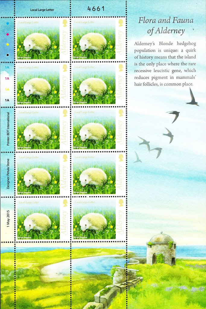 Blonde Hedgehog (Erinaceus europaeus)