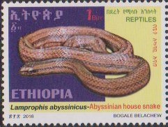 Snakes