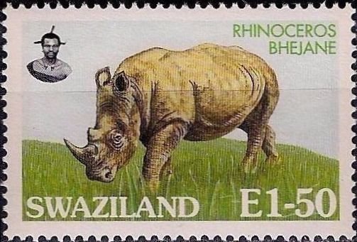 Rhinoceros.