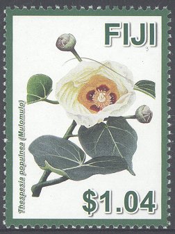 Fijian Hibiscuses