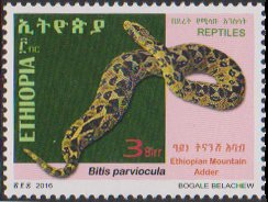 Snakes