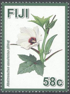 Fijian Hibiscuses