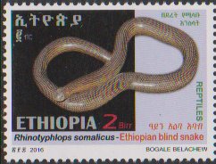 Snakes