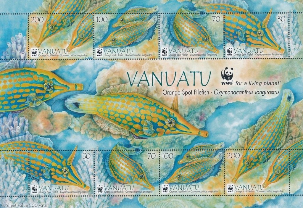 Orange spotted filefish (Oxymonacanthus longirostris)