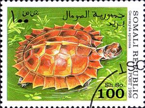 Stamp, Spiny Turtle (Geoemyda Spinosa), Cinderellas,  , Animals (Fauna), Reptiles, Turtles