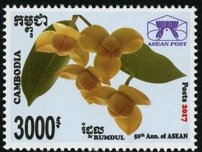 50th Anniversary of ASEAN - National Flowers