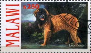 Stamp, Leonberger, Cinderellas,  , Animals (Fauna), Dogs