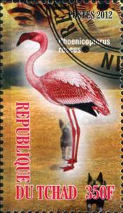 Stamp, Phoenicoprorus roseus, Cinderellas,  , Animals (Fauna), Birds
