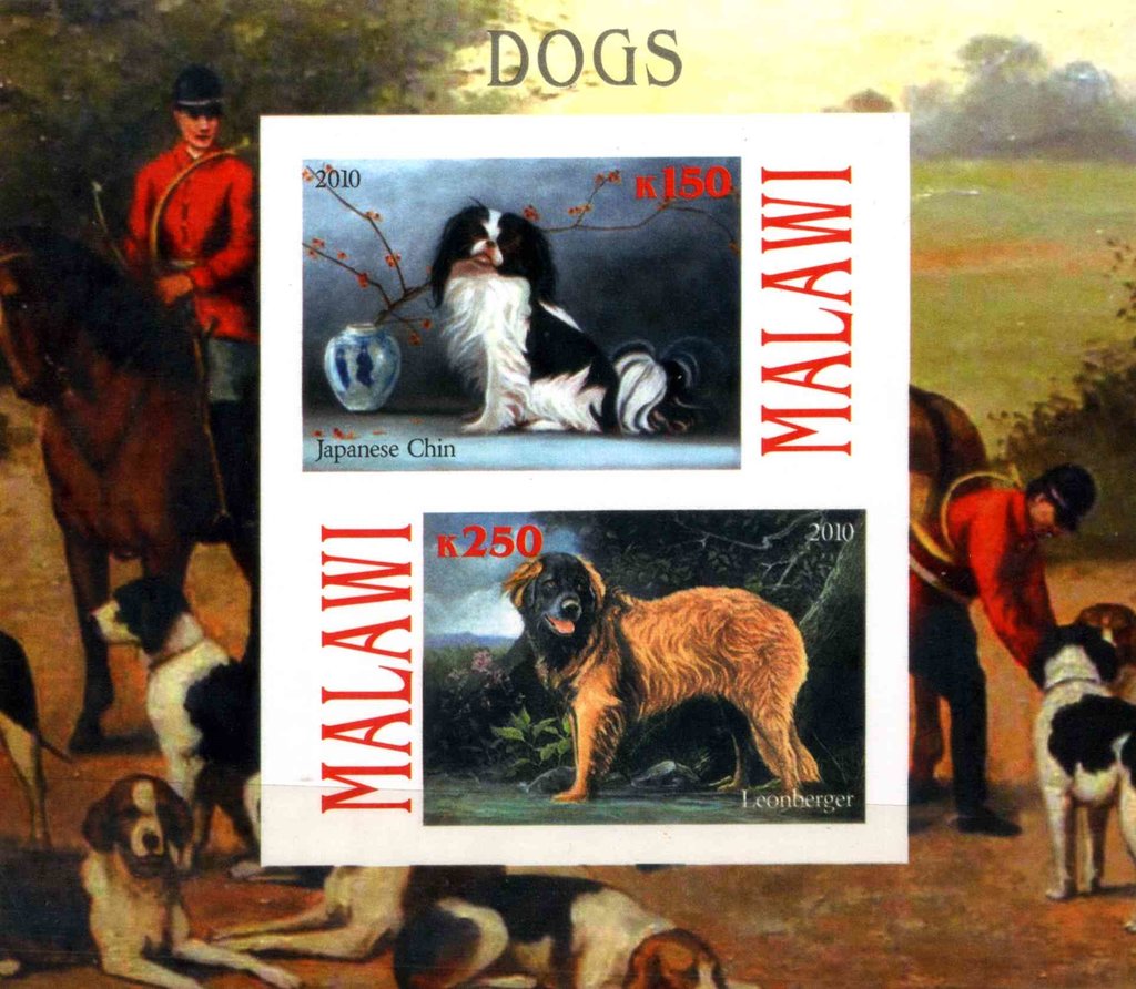 Dogs