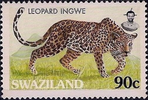 Leopard.