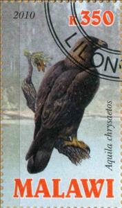 Stamp, Aquila chrysaetos, Cinderellas,  , Animals (Fauna), Birds, Falcons