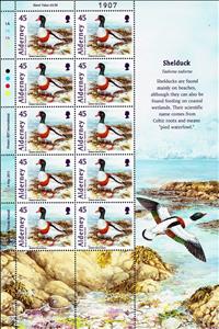 Mini Sheet, Shelduck (Tadorna tadorna), Alderney,  , Animals (Fauna), Birds, Ducks