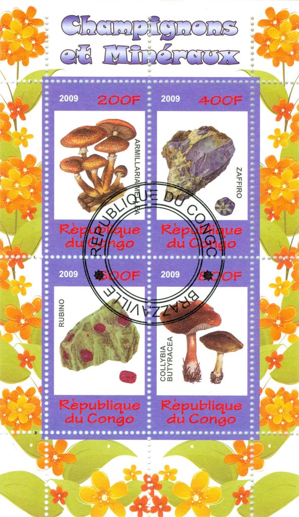 Mushrooms and minerals