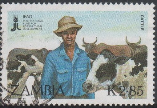 Farmer and cattle