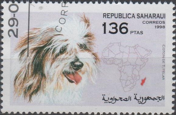 Dogs