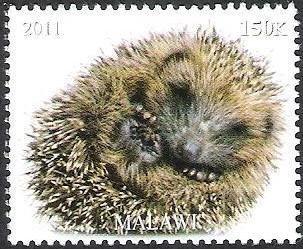 Stamp, Animals, Cinderellas,  , Animals (Fauna)