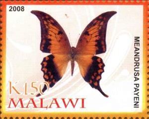 Stamp, Meandrusa Payeni, Cinderellas,  , Animals (Fauna), Butterflies