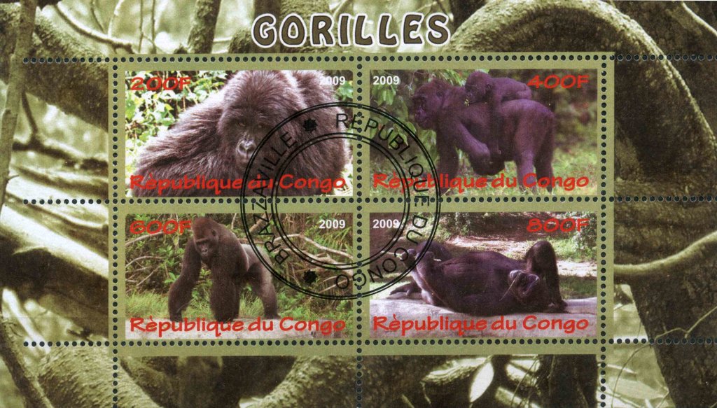 Gorilles