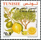 The Acid Lemon Eureka