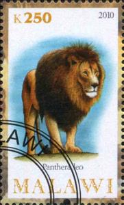 Stamp, Panthera Leo, Cinderellas,  , Animals (Fauna), Лев