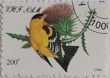 Yellow Bird