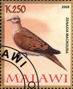 Stamp, Zenaida Macroura, Cinderellas,  , Animals (Fauna), Birds